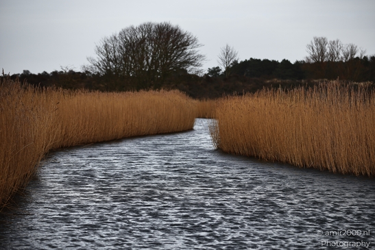 A winter landscape shows leafless vegetation and a broad winter horizon with leafless shrubs and - image from year 2026 #012