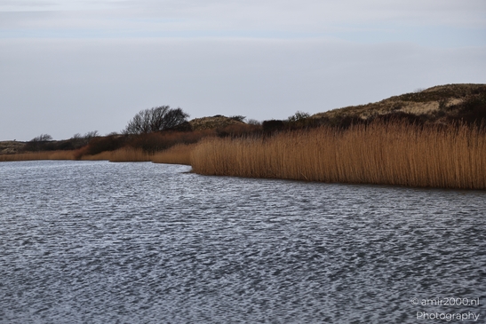 Near Noord Holland Netherlands, a winter landscape reveals muted winter tones across open - image from year 2026 #013