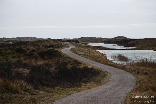 A winding path through a tranquil winter landscape in the Amsterdamse Waterleidingduinen, Noord - image from year 2026 #017