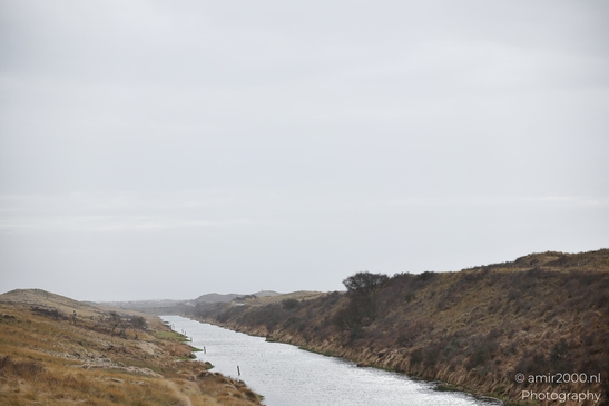 A tranquil winter landscape in the Amsterdamse Waterleidingduinen, showcasing dried reeds and - image from year 2026 #019