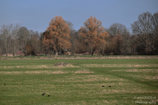 A winter landscape with a field and trees in the background under a clear sky. - image from year 2026 #001