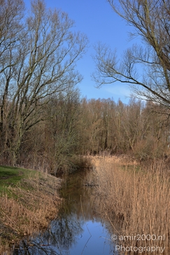 Winter_Wetland_In_Houtrak_Spaarnwoude_Park_Halfweg_Netherlands_Nature_Photography_Canon_EOS_R5_Mark_II_2026_001.JPG