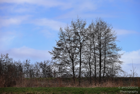 In Spaarnwoude Park, Halfweg Netherlands image from year 2026 #3