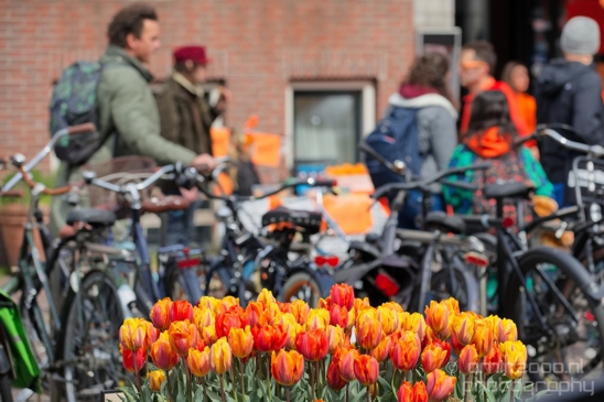 People_enjoying_kings_day_koningsdag_in_Amsterdam_2023_Amsterdam_Netherlands_Canon_EOS_5D_Mark_IV_015.JPG