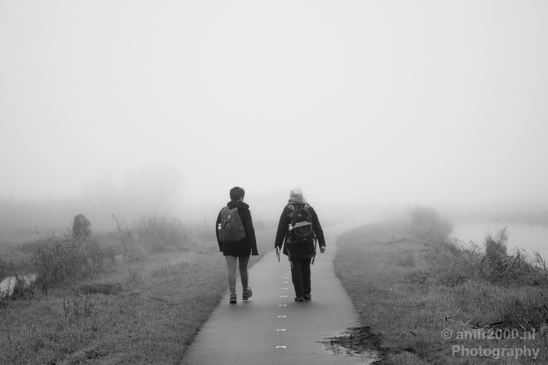 Two_people_from_the_back_walking_in_nature_during_autumn_foggy_day_Amsterdam_Netherlands_Canon_EOS_5D_Mark_IV.JPG