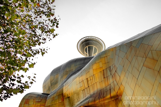 Museum_of_Pop_Culture_Seattle_Washington_state_city_urban_USA_Architecture_Photography_021_Canon_EOS_5D_Mark_IV.JPG