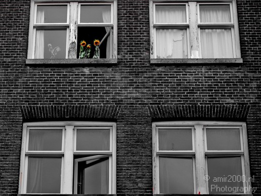 Windows_Amsterdam_centrum_dutch_beauty_Netherlands_Architecture_Photography_004_Canon_EOS_5D_Mark_IV.JPG