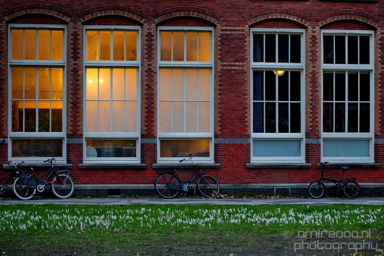 Windows_Amsterdam_centrum_dutch_beauty_Netherlands_Architecture_Photography_019_Canon_EOS_5D_Mark_IV.JPG