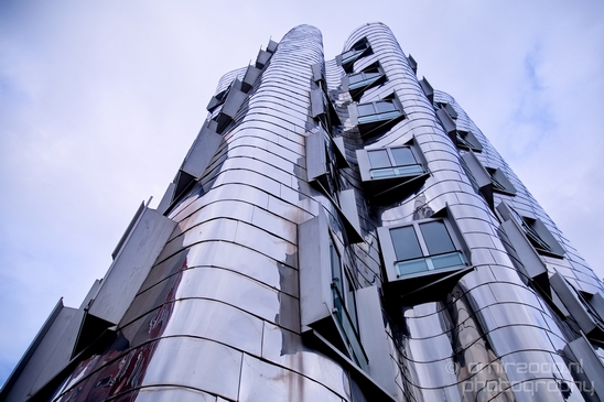 by_Frank_O_Gehry_Dusseldorf_Germany_Medienhafen_Hafen_Architecture_Photography_012_Canon_EOS_5D_Mark_IV.JPG