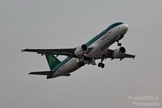 Aer_Lingus_Airline_Aviation_Photography_003_Canon_EOS_50D.JPG