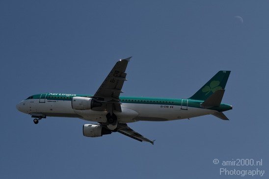 Aer_Lingus_Airline_Aviation_Photography_003_Canon_EOS_7D.JPG