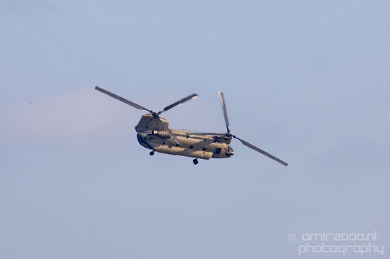 Dutch_navy_Boeing_CH-47_Chinook_Nederland_28.JPG