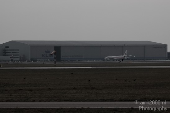 Schiphol_Netherlands_Aviation_Photography_003_Canon_EOS_50D.JPG