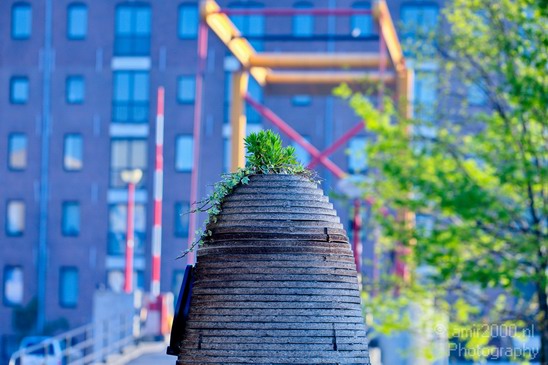Amsterdam_centrum_oostelijke_eilanden_city_Netherlands_Cityscape_Photography_176_Canon_EOS_5D_Mark_IV.JPG