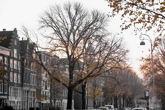 Amsterdam_city_street_urban_Netherlands_Cityscape_Photography_027_Canon_EOS_5D_Mark_IV.JPG