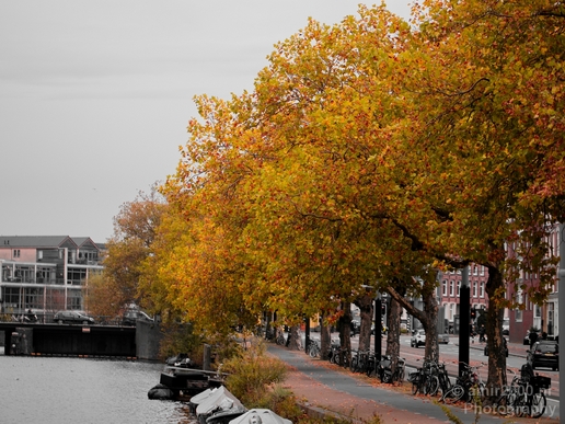 Amsterdam_city_street_urban_Netherlands_Cityscape_Photography_131_Canon_EOS_5D_Mark_IV.JPG