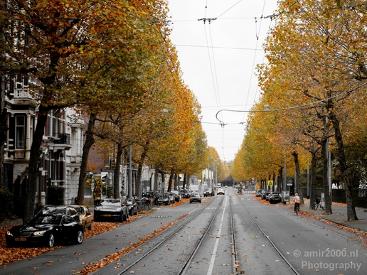Amsterdam_city_street_urban_Netherlands_Cityscape_Photography_159_Canon_EOS_5D_Mark_IV.JPG