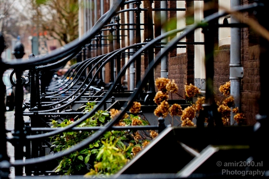 Amsterdam_city_street_urban_Netherlands_Cityscape_Photography_189_Canon_EOS_5D_Mark_IV.JPG