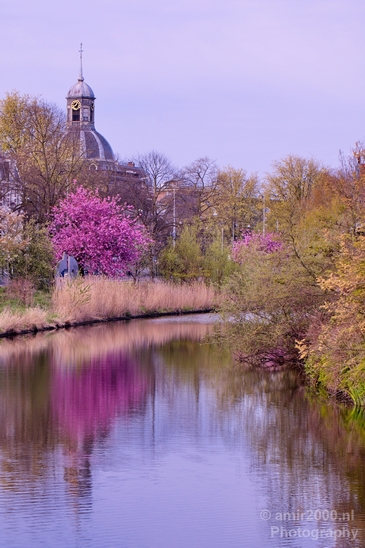 Amsterdam_city_street_urban_Netherlands_Cityscape_Photography_232_Canon_EOS_5D_Mark_IV.JPG