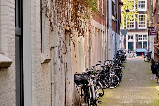 Amsterdam_city_street_urban_Netherlands_Cityscape_Photography_333_Canon_EOS_5D_Mark_IV.JPG