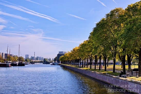 Amsterdam_city_street_urban_Netherlands_Cityscape_Photography_353_Canon_EOS_5D_Mark_IV.JPG