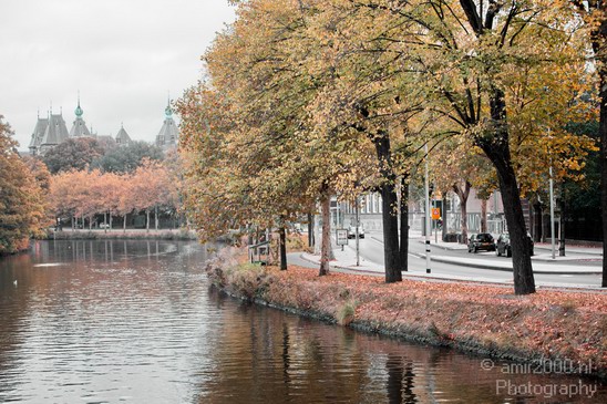 Amsterdam_oosterpark_city_fall_autumn_colors_Netherlands_Cityscape_Photography_005_Canon_EOS_5D_Mark_IV.JPG