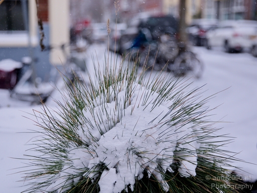 Amsterdam_under_snow_storm_winter_scenery_city_street_urban_Netherlands_Cityscape_Photography_008_Canon_EOS_5D_Mark_IV.JPG