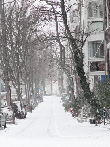 Amsterdam_under_snow_storm_winter_scenery_city_street_urban_Netherlands_Cityscape_Photography_029_Canon_EOS_5D_Mark_IV.JPG