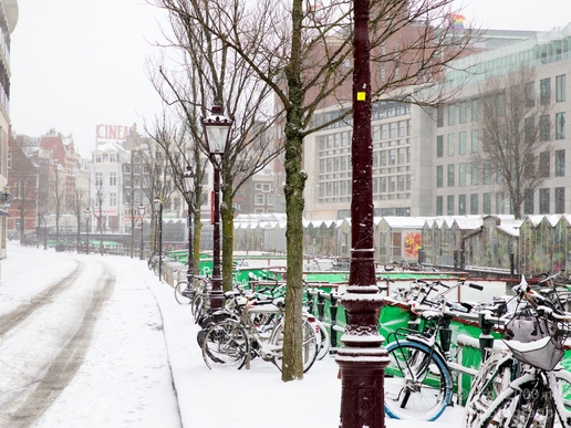 Amsterdam_under_snow_storm_winter_scenery_city_street_urban_Netherlands_Cityscape_Photography_062_Canon_EOS_5D_Mark_IV.JPG