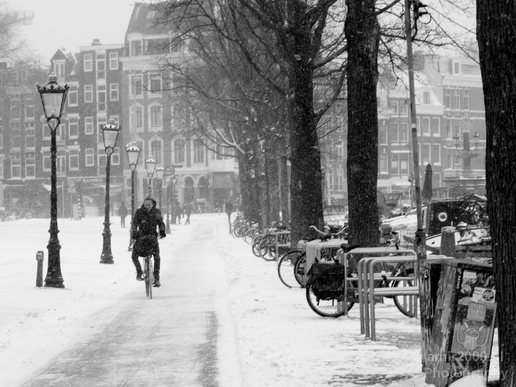 Amsterdam_under_snow_storm_winter_scenery_city_street_urban_Netherlands_Cityscape_Photography_077_Canon_EOS_5D_Mark_IV.JPG