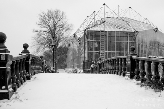 Amsterdam_under_snow_storm_winter_scenery_city_street_urban_Netherlands_Cityscape_Photography_094_Canon_EOS_5D_Mark_IV.JPG