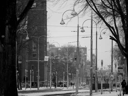 Amsterdam_under_snow_storm_winter_scenery_city_street_urban_Netherlands_Cityscape_Photography_115_Canon_EOS_5D_Mark_IV.JPG