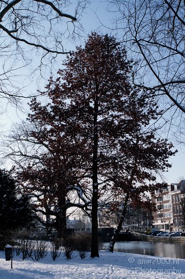 Amsterdam_winter_cold_day_sun_Netherlands_Cityscape_Photography_007_Canon_EOS_7D.JPG