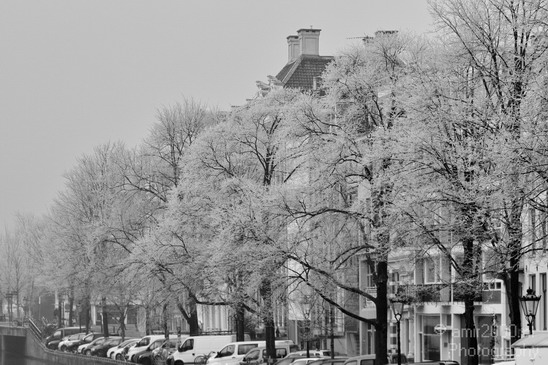 Amsterdam_winter_icy_day_fog_Netherlands_Cityscape_Photography_012_Canon_EOS_7D.JPG