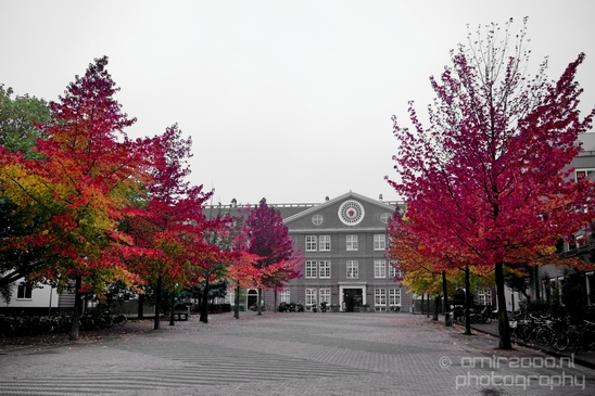Autumn_Amsterdam_city_street_urban_Netherlands_Cityscape_Photography_004_Canon_EOS_5D_Mark_IV.JPG