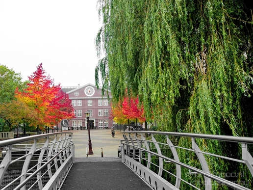 Autumn_Amsterdam_city_street_urban_Netherlands_Cityscape_Photography_008_Canon_EOS_5D_Mark_IV.JPG