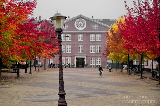 Autumn_Amsterdam_city_street_urban_Netherlands_Cityscape_Photography_011_Canon_EOS_5D_Mark_IV.JPG