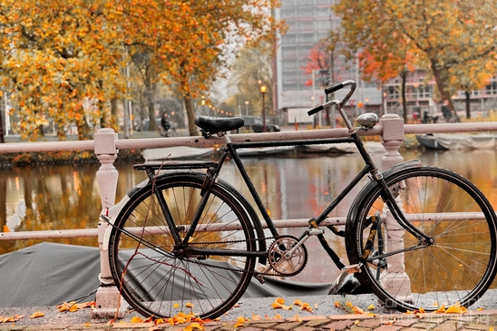 Autumn_Amsterdam_city_street_urban_Netherlands_Cityscape_Photography_012_Canon_EOS_5D_Mark_IV.JPG