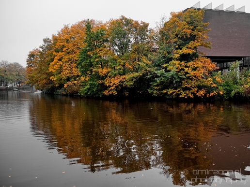 Autumn_Amsterdam_city_street_urban_Netherlands_Cityscape_Photography_014_Canon_EOS_5D_Mark_IV.JPG