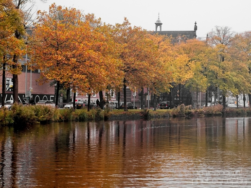 Autumn_Amsterdam_city_street_urban_Netherlands_Cityscape_Photography_015_Canon_EOS_5D_Mark_IV.JPG