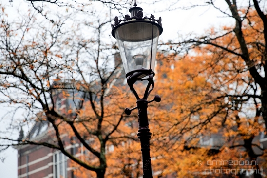 Autumn_Amsterdam_city_street_urban_Netherlands_Cityscape_Photography_016_Canon_EOS_5D_Mark_IV.JPG