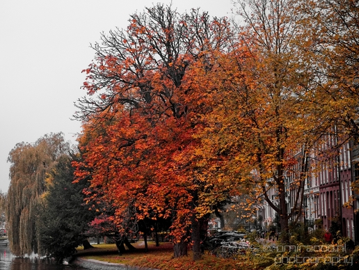 Autumn_Amsterdam_city_street_urban_Netherlands_Cityscape_Photography_018_Canon_EOS_5D_Mark_IV.JPG