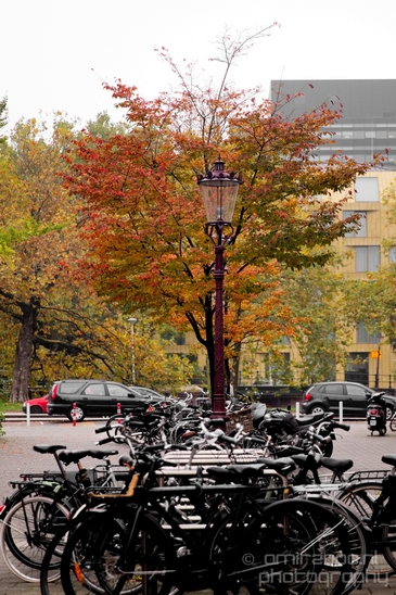 Autumn_Amsterdam_city_street_urban_Netherlands_Cityscape_Photography_019_Canon_EOS_5D_Mark_IV.JPG
