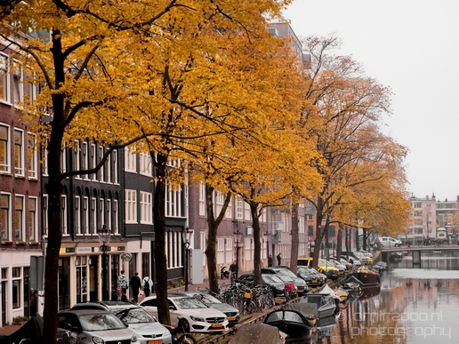 Autumn_Amsterdam_city_street_urban_Netherlands_Cityscape_Photography_020_Canon_EOS_5D_Mark_IV.JPG