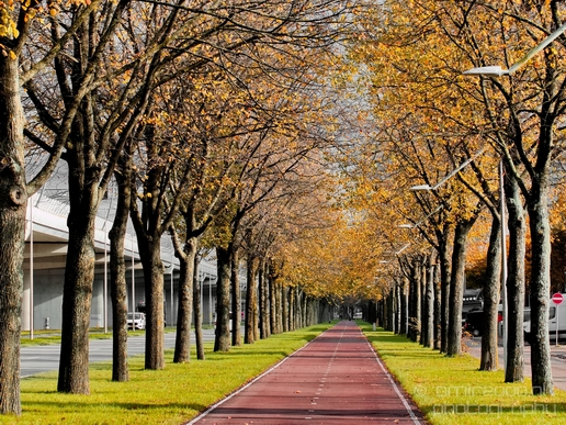 Autumn_Amsterdam_city_street_urban_Netherlands_Cityscape_Photography_034_Canon_EOS_5D_Mark_IV.JPG