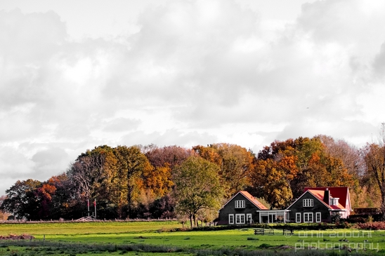 Autumn_Amsterdam_city_street_urban_Netherlands_Cityscape_Photography_035_Canon_EOS_5D_Mark_IV.JPG