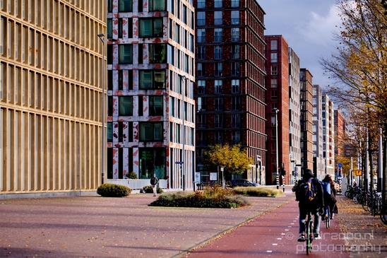 Autumn_Amsterdam_city_street_urban_Netherlands_Cityscape_Photography_037_Canon_EOS_5D_Mark_IV.JPG