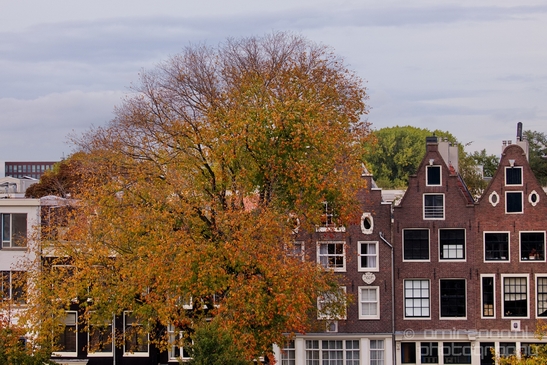 Autumn_Amsterdam_city_street_urban_Netherlands_Cityscape_Photography_040_Canon_EOS_5D_Mark_IV.JPG