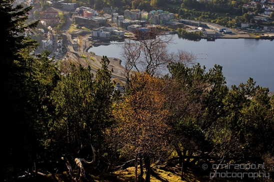 Bergen_the_capital_of_Fjord_Norway_City_urban_street_Cityscape_Photography_046_Canon_EOS_5D_Mark_IV.JPG