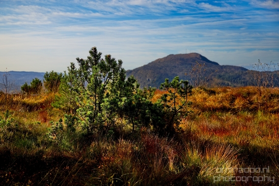 Bergen_the_capital_of_Fjord_Norway_City_urban_street_Cityscape_Photography_050_Canon_EOS_5D_Mark_IV.JPG